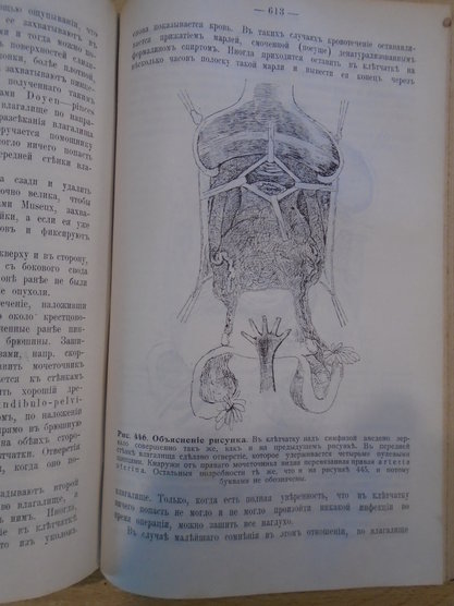 Оперативная гинекология. Проф Губарев А.П. С.-Птб.изд "Практическая медицина" 1910